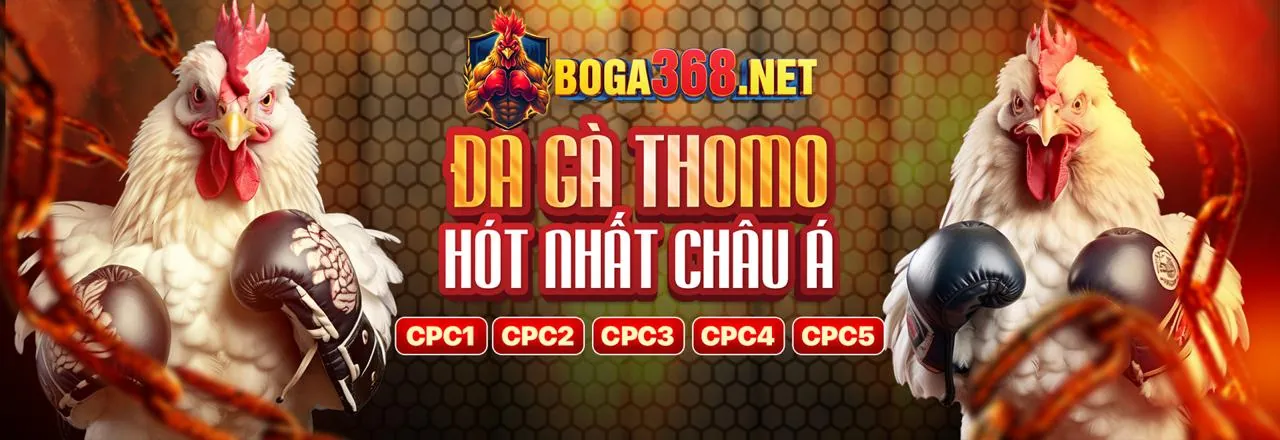 Liên hệ PKWIN để được hỗ trợ nhanh chóng